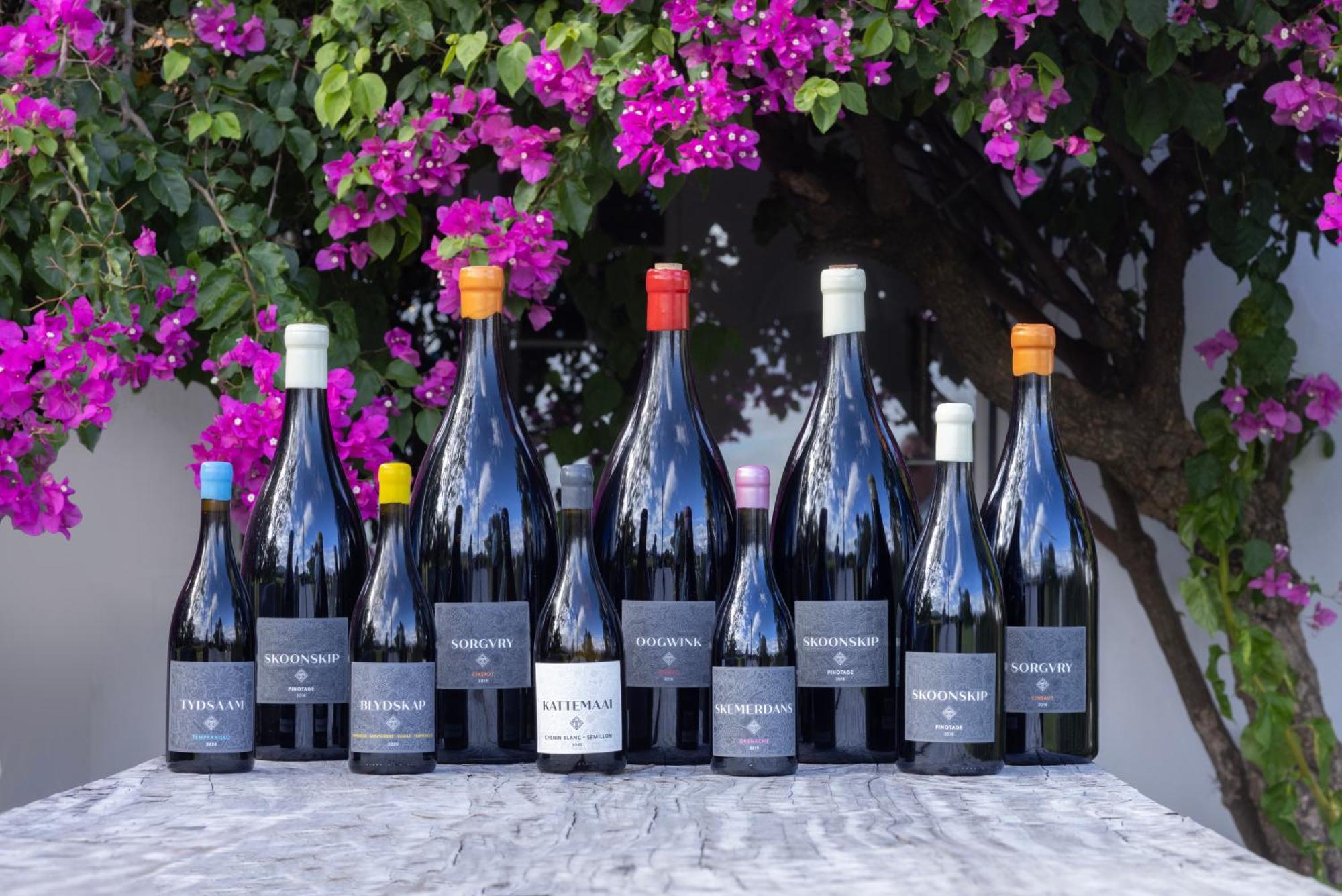 Tempel Wines Hotel Paarl Eksteriør billede